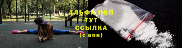 спайс Баксан